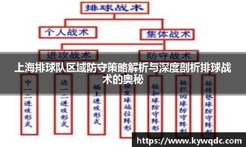 上海排球队区域防守策略解析与深度剖析排球战术的奥秘